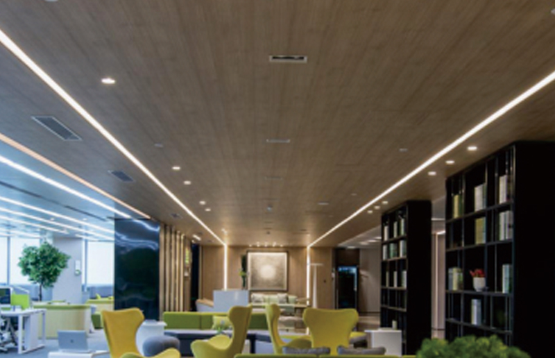 LG05V Multi-size High-Blightness LED BATTEN FARTING